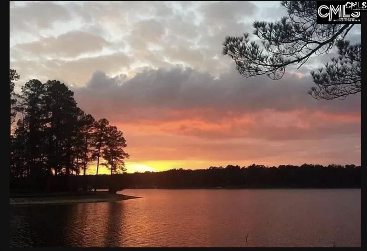 Edisto Lake Road Photo 6
