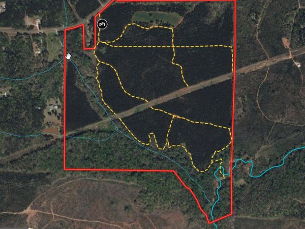180.14 AC Johnson Mill Road, Hamilton, GA 31811