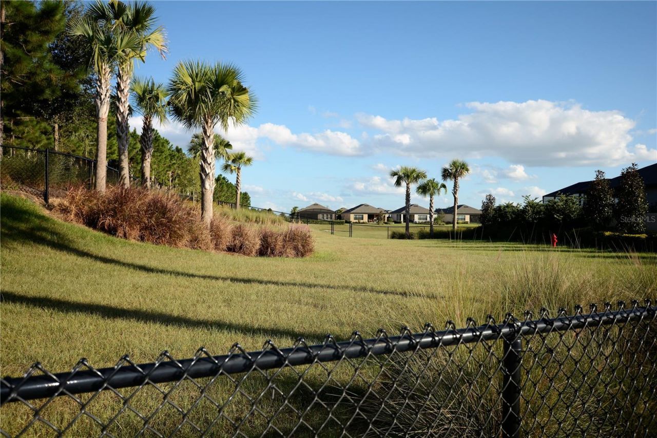 1197 Esperanza Ridge Road , Clermont, FL 34715 Photo
