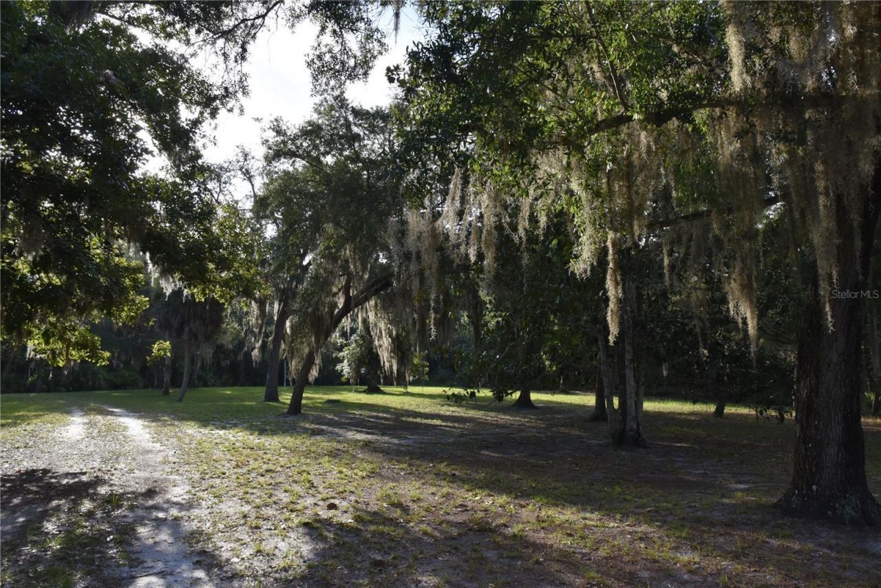 5351 SW County Road 347 , Cedar Key, FL 32625 Photo