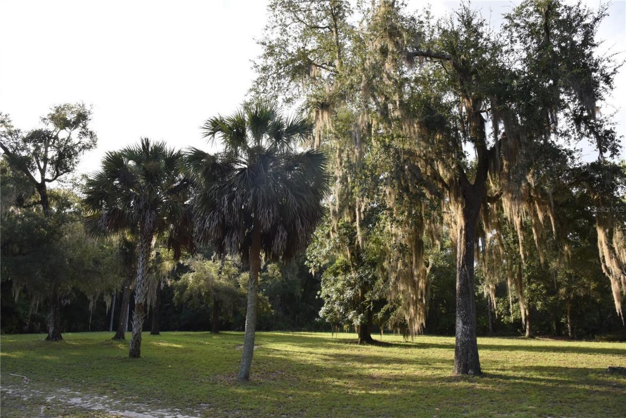 5351 SW County Road 347 , Cedar Key, FL 32625 Photo