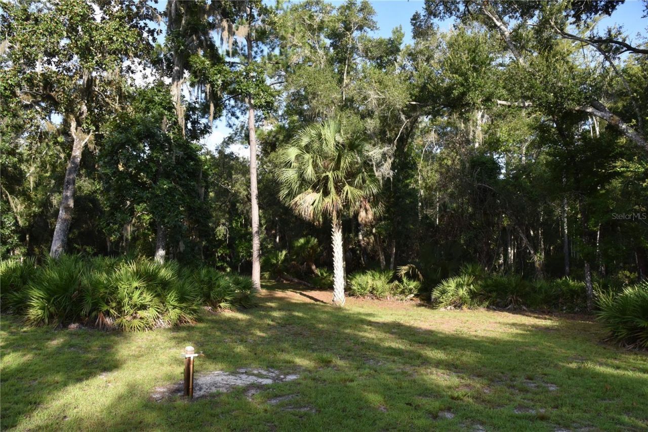 5351 SW County Road 347 , Cedar Key, FL 32625 Photo