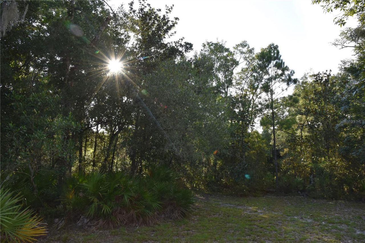 5351 SW County Road 347 , Cedar Key, FL 32625 Photo