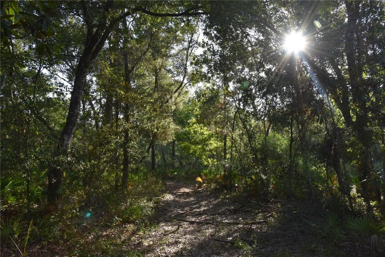 5351 SW County Road 347 , Cedar Key, FL 32625 Photo