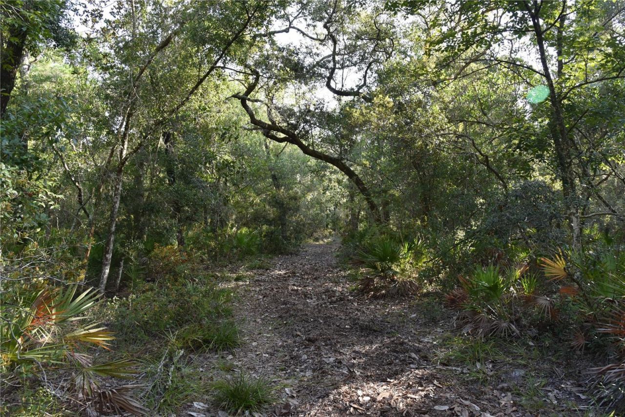 5351 SW County Road 347 , Cedar Key, FL 32625 Photo
