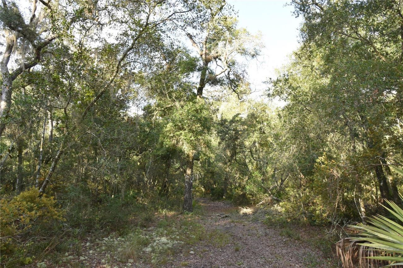 5351 SW County Road 347 , Cedar Key, FL 32625 Photo