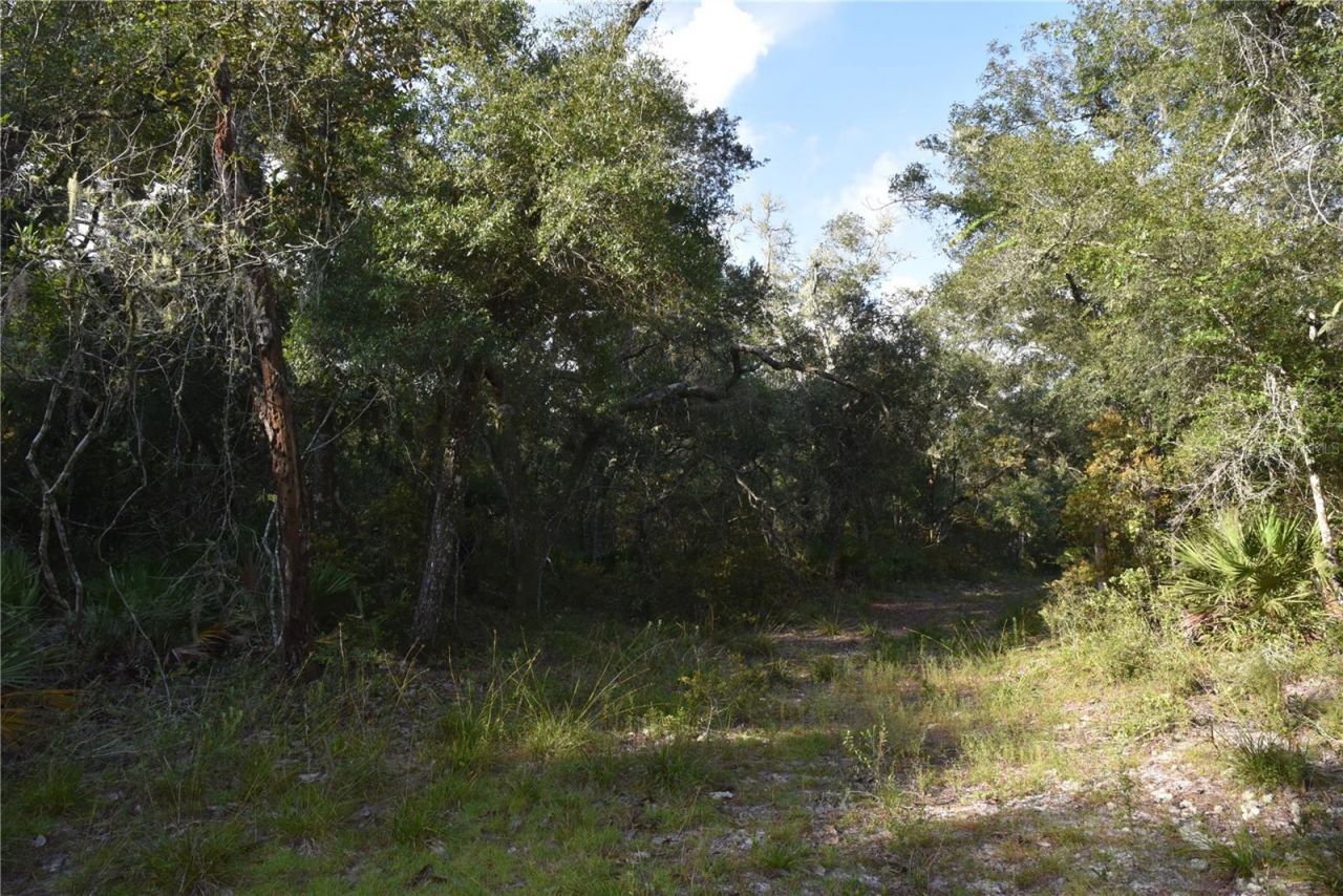 5351 SW County Road 347 , Cedar Key, FL 32625 Photo