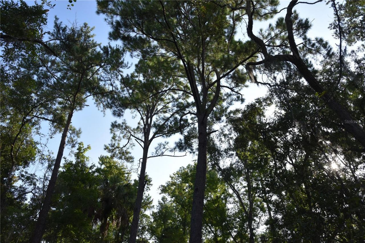 5351 SW County Road 347 , Cedar Key, FL 32625 Photo