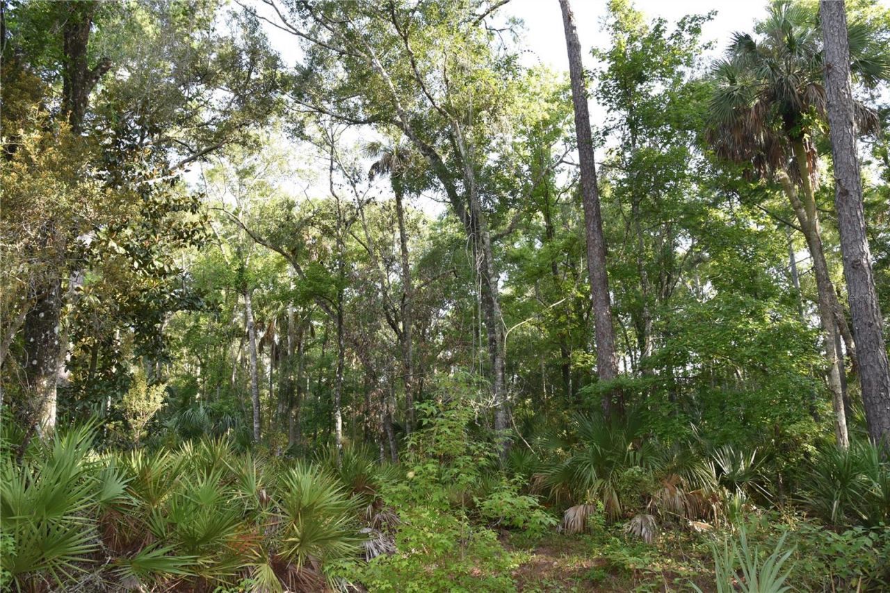 5351 SW County Road 347 , Cedar Key, FL 32625 Photo