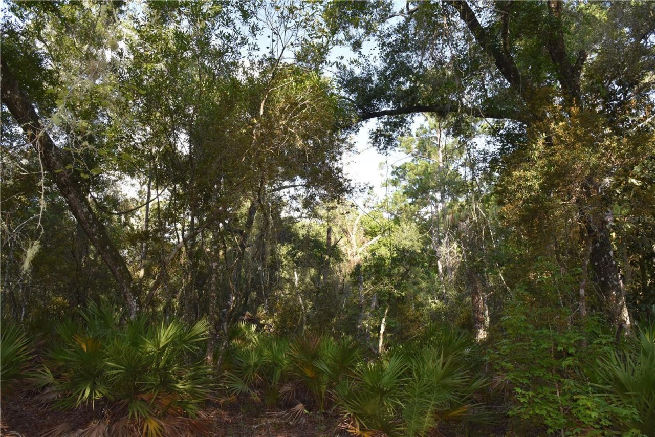 5351 SW County Road 347 , Cedar Key, FL 32625 Photo