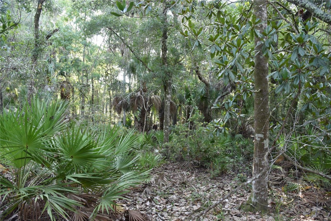 5351 SW County Road 347 , Cedar Key, FL 32625 Photo