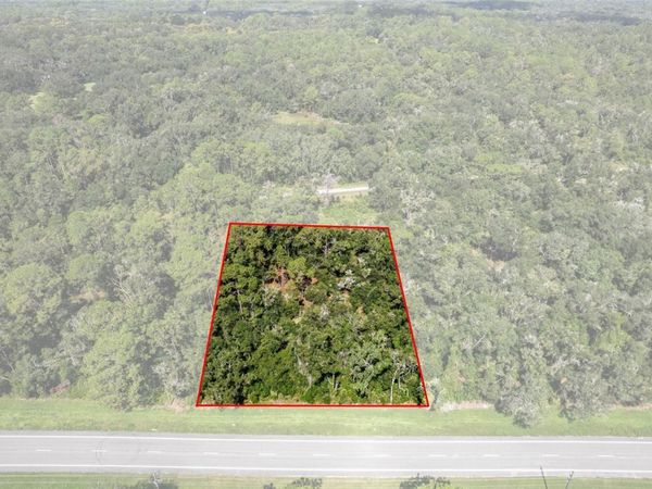 0 TREIMAN BOULEVARD , WEBSTER, FL 33597