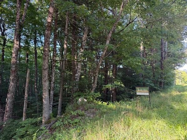 0 Sylvan Ridge Road, Unit Lot 25, Winhall, VT 05340