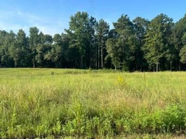 BLUEGRASS Ln, Jasper, AL 35503