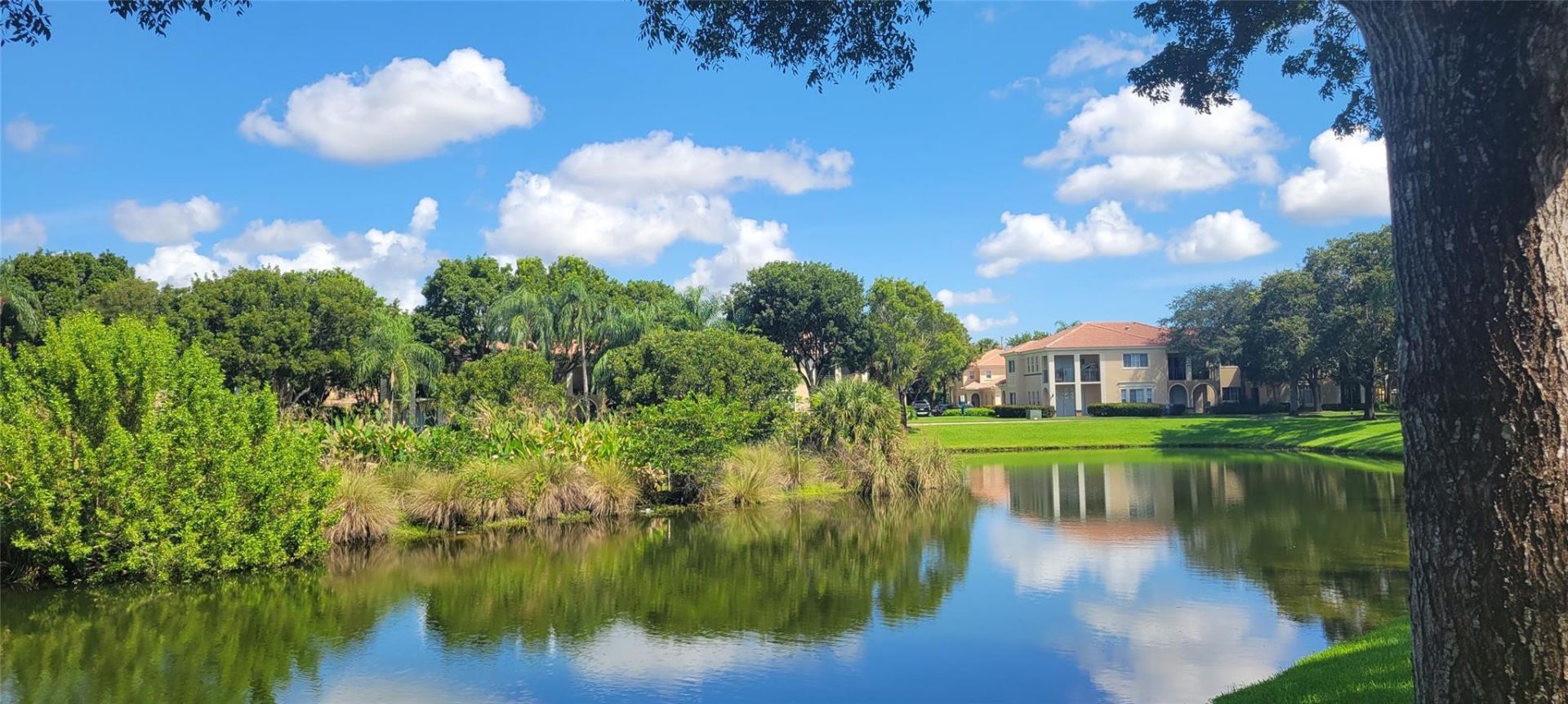 2496 Centergate Drive, Unit 203, Miramar, FL 33025 Photo