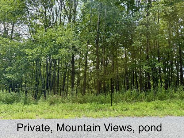 Fiddlers Elbow Road , Margaretville, NY 12455