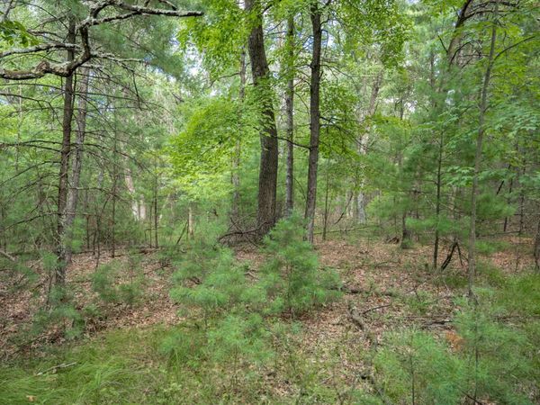 Lot 130 19th Pass, Arkdale, WI 54613