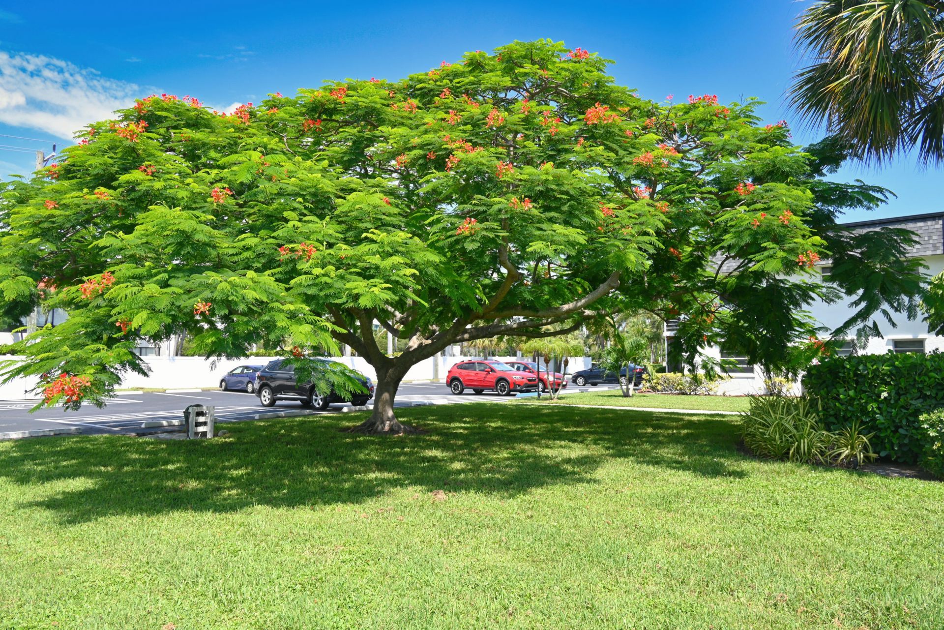 1100 E Indiantown Road, Unit 113, Jupiter, FL 33477 Photo