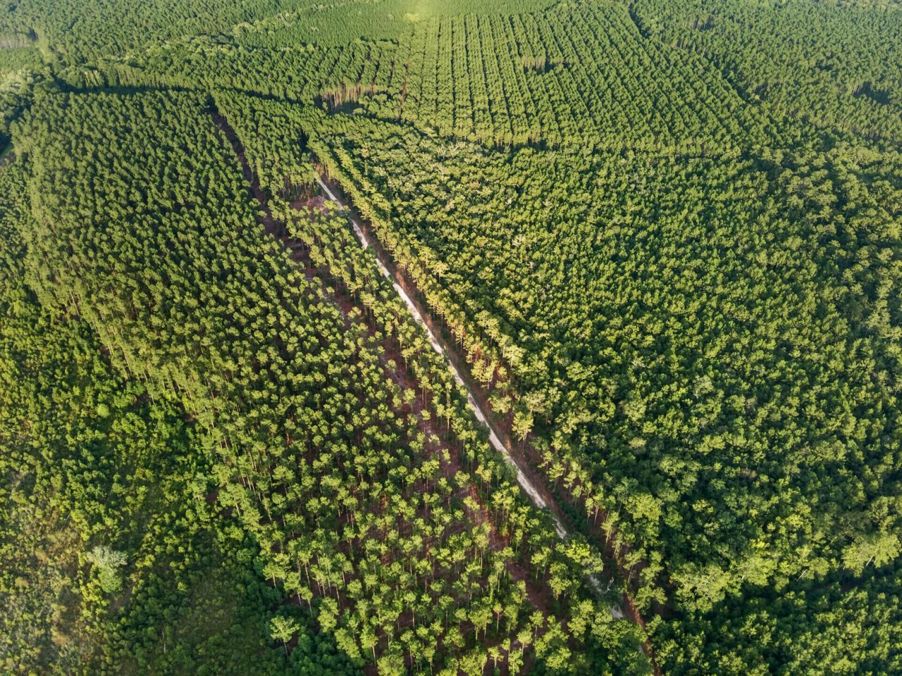 0 Greenwood Road Photo 38