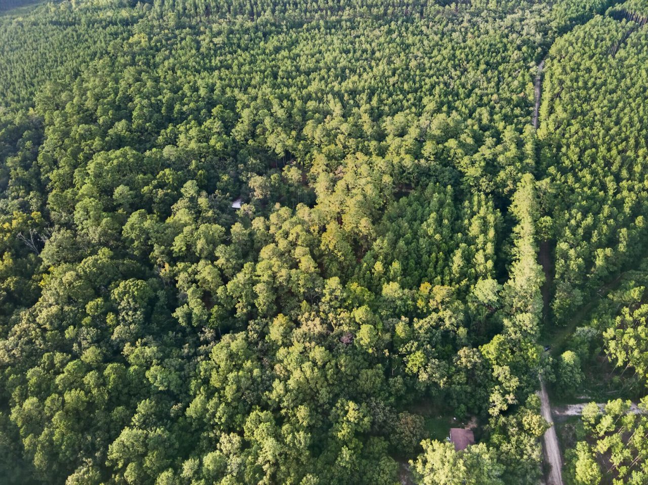 0 Greenwood Photo 33