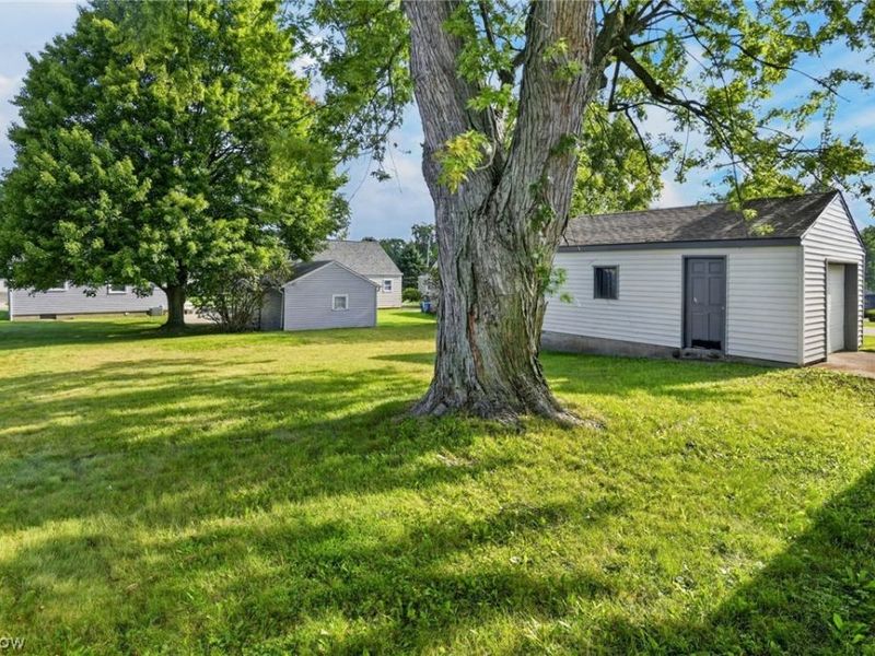 519 Creed Street, Struthers, OH 44471 Photo 11