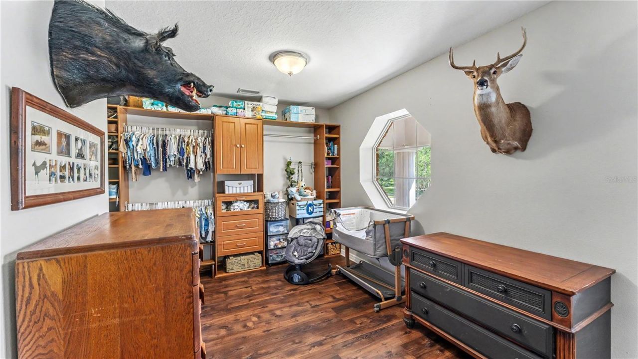 6605 Poley Creek Drive W, Lakeland, FL 33811 Photo