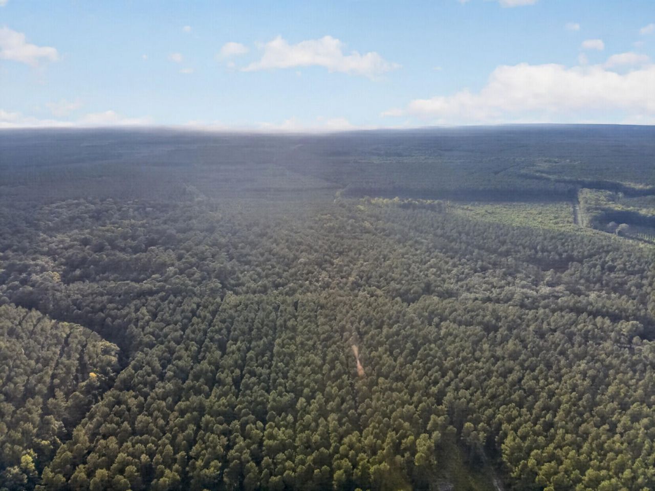 0 Greenwood Road Photo 25