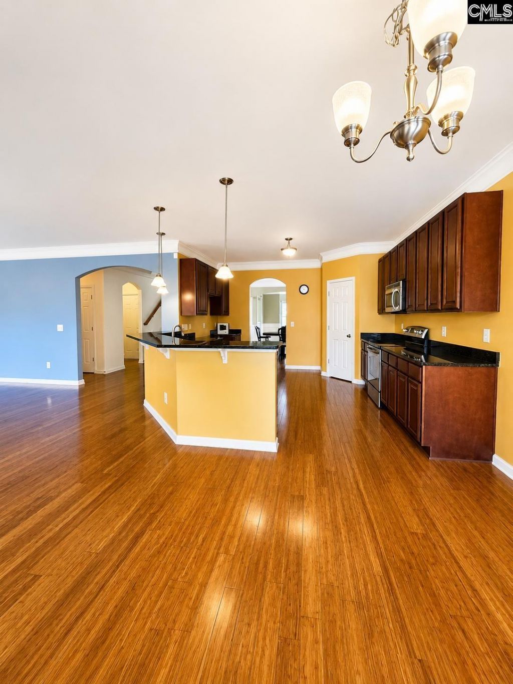 531 Willow Water Way Photo 10