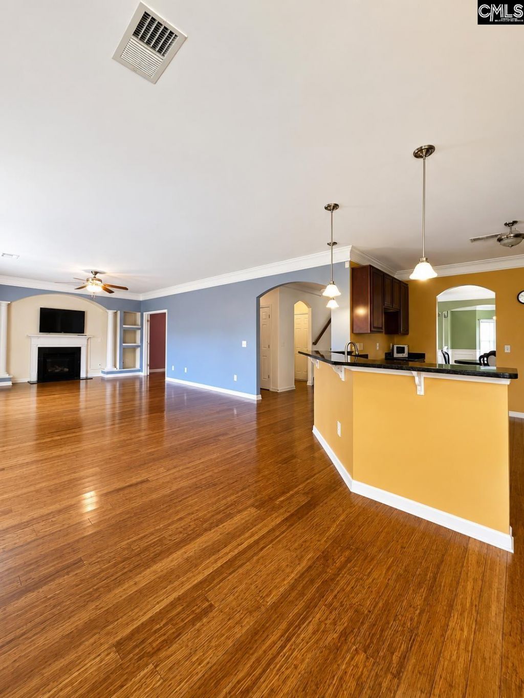 531 Willow Water Way Photo 9