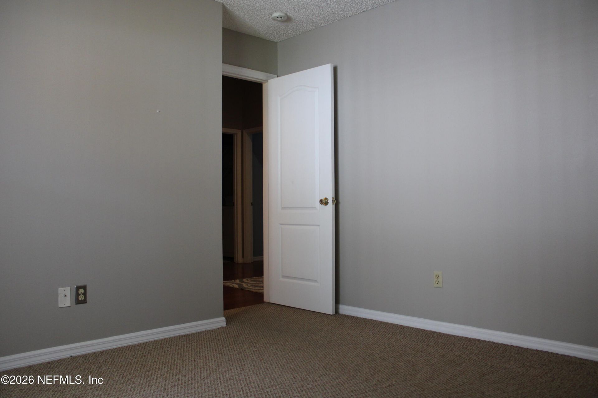 1032 Deer Spring Drive, Jacksonville, FL 32221 Photo