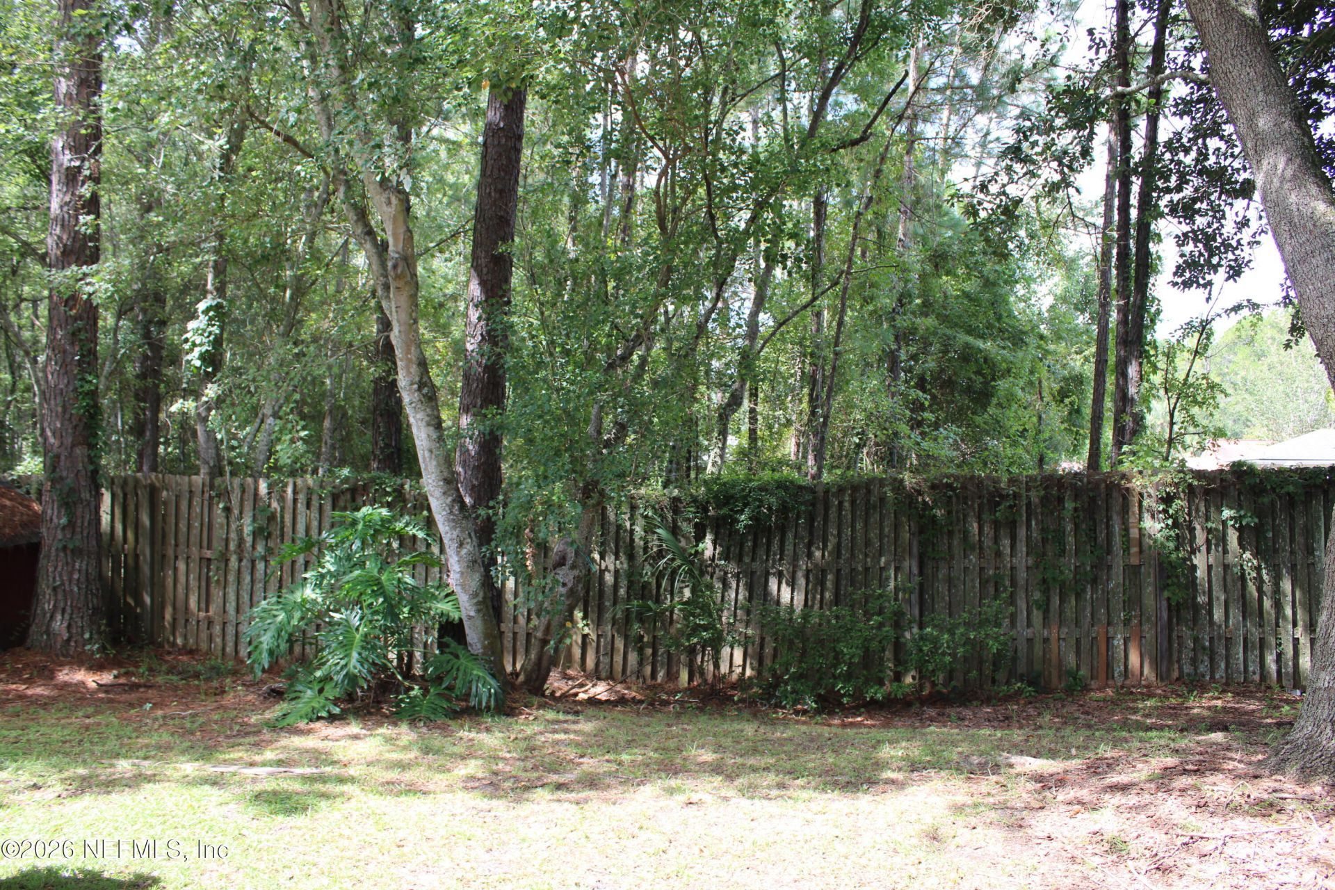 1032 Deer Spring Drive, Jacksonville, FL 32221 Photo