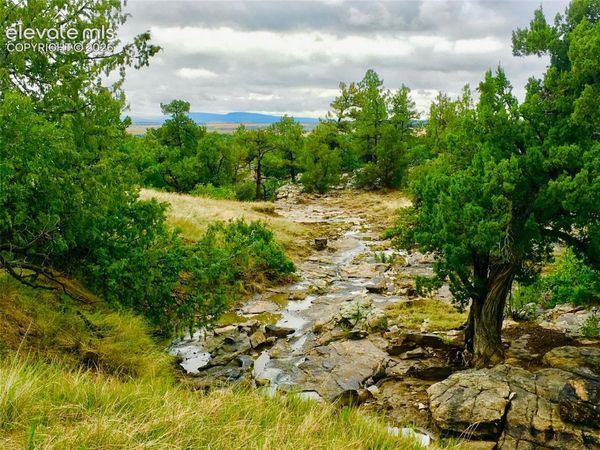 TBD Pickney Road, Rye, CO 81069