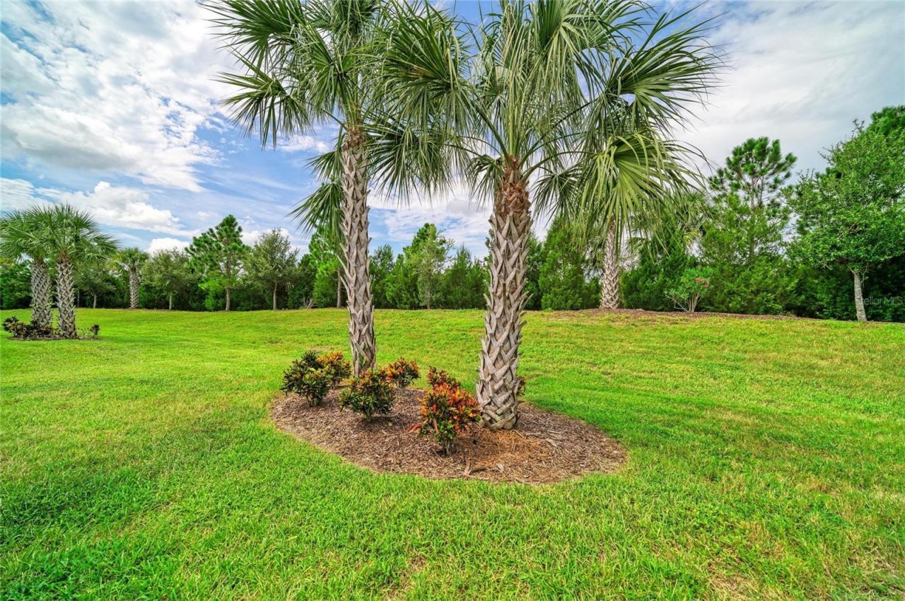 17648 Northwood Place , Lakewood Ranch, FL 34202 Photo