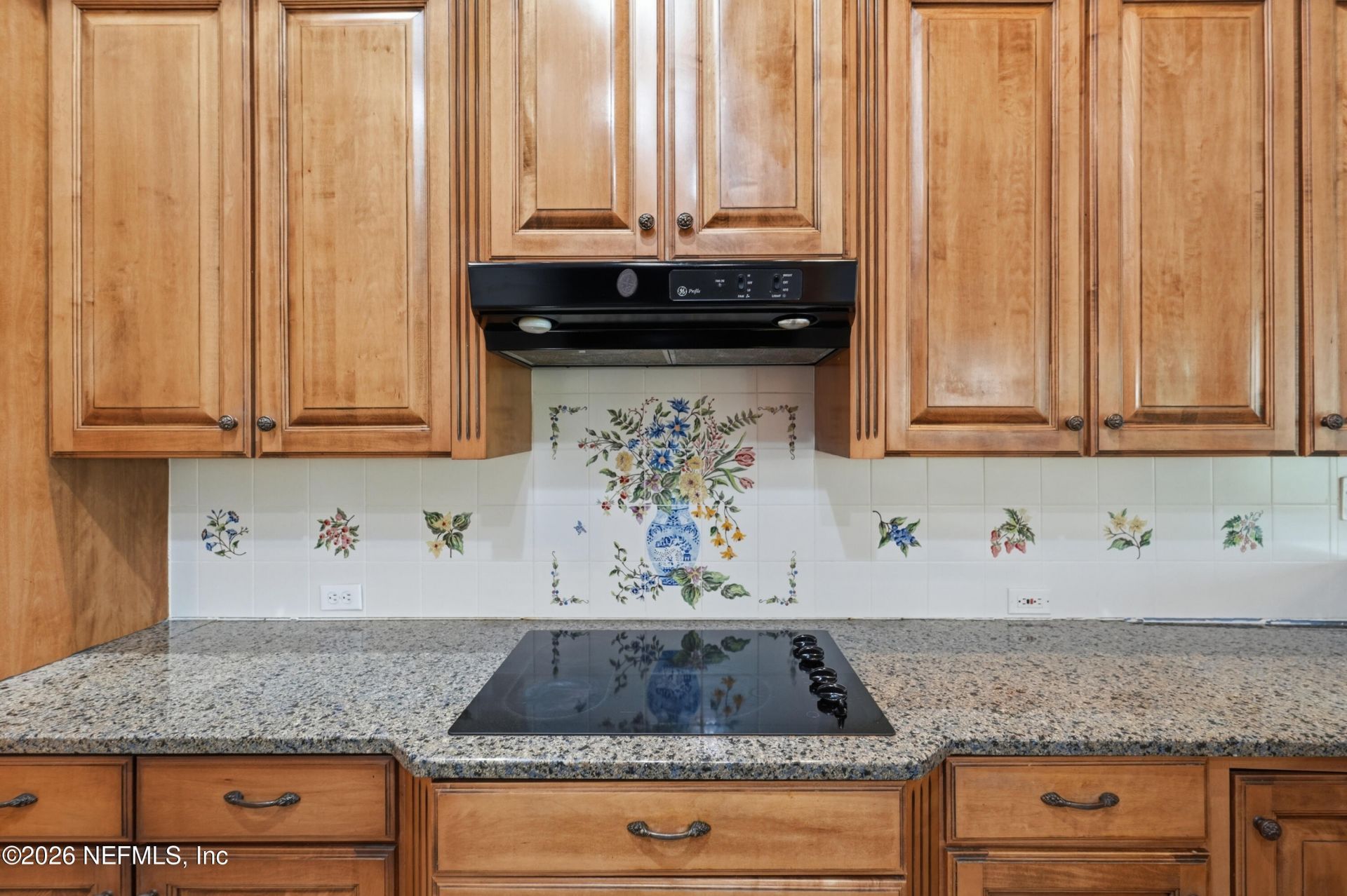 3437 Mainard Branch Court, Fleming Island, FL 32003 Photo