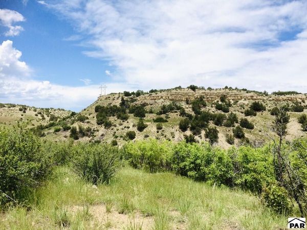 Pickney Rd, Rye, CO 81069