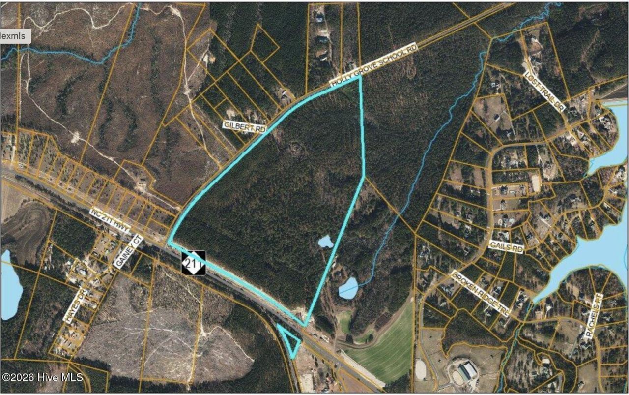 3319 Nc 211, Seven Lakes, NC 27376 Main Photo