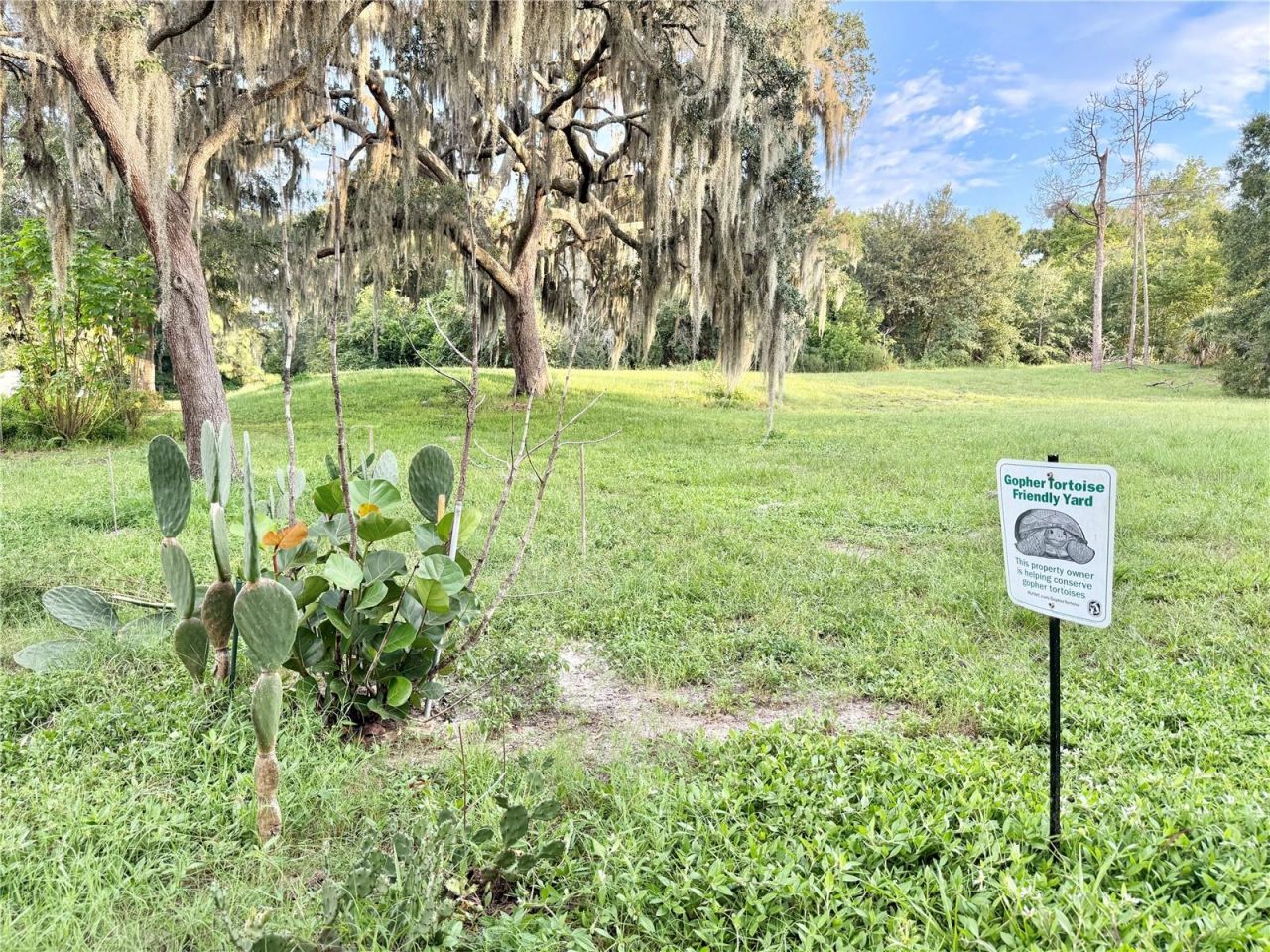 901 W River Dr , Temple Terrace, FL 33617 Photo