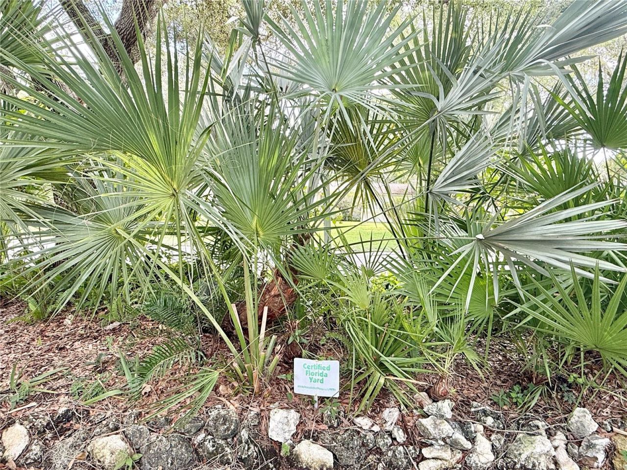 901 W River Dr , Temple Terrace, FL 33617 Photo