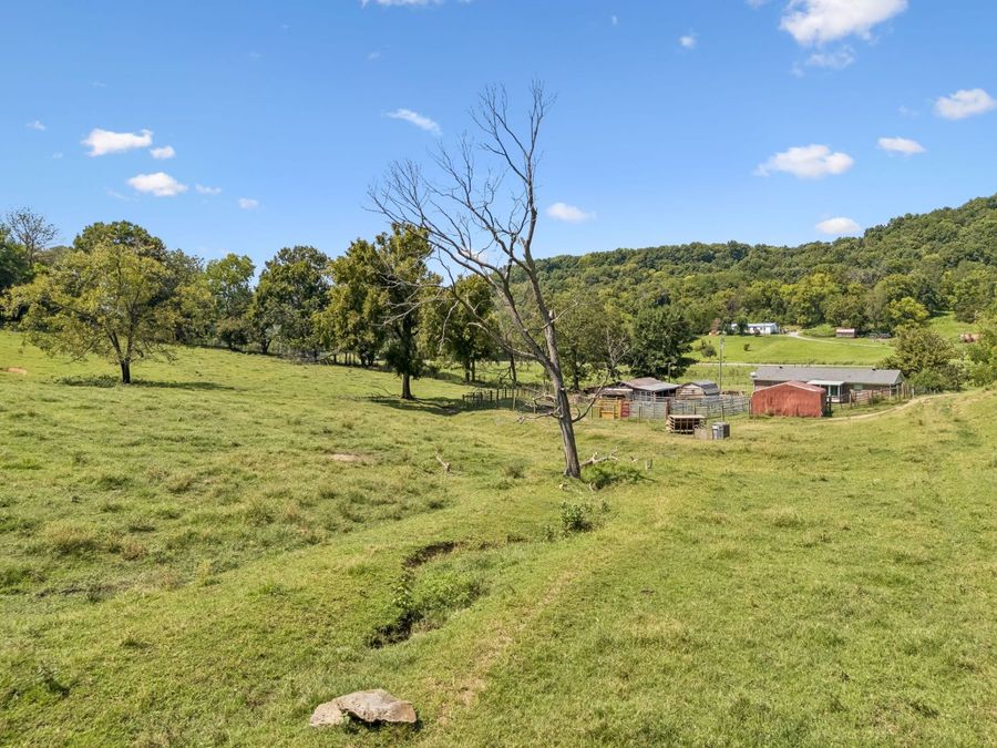 Property Image 52