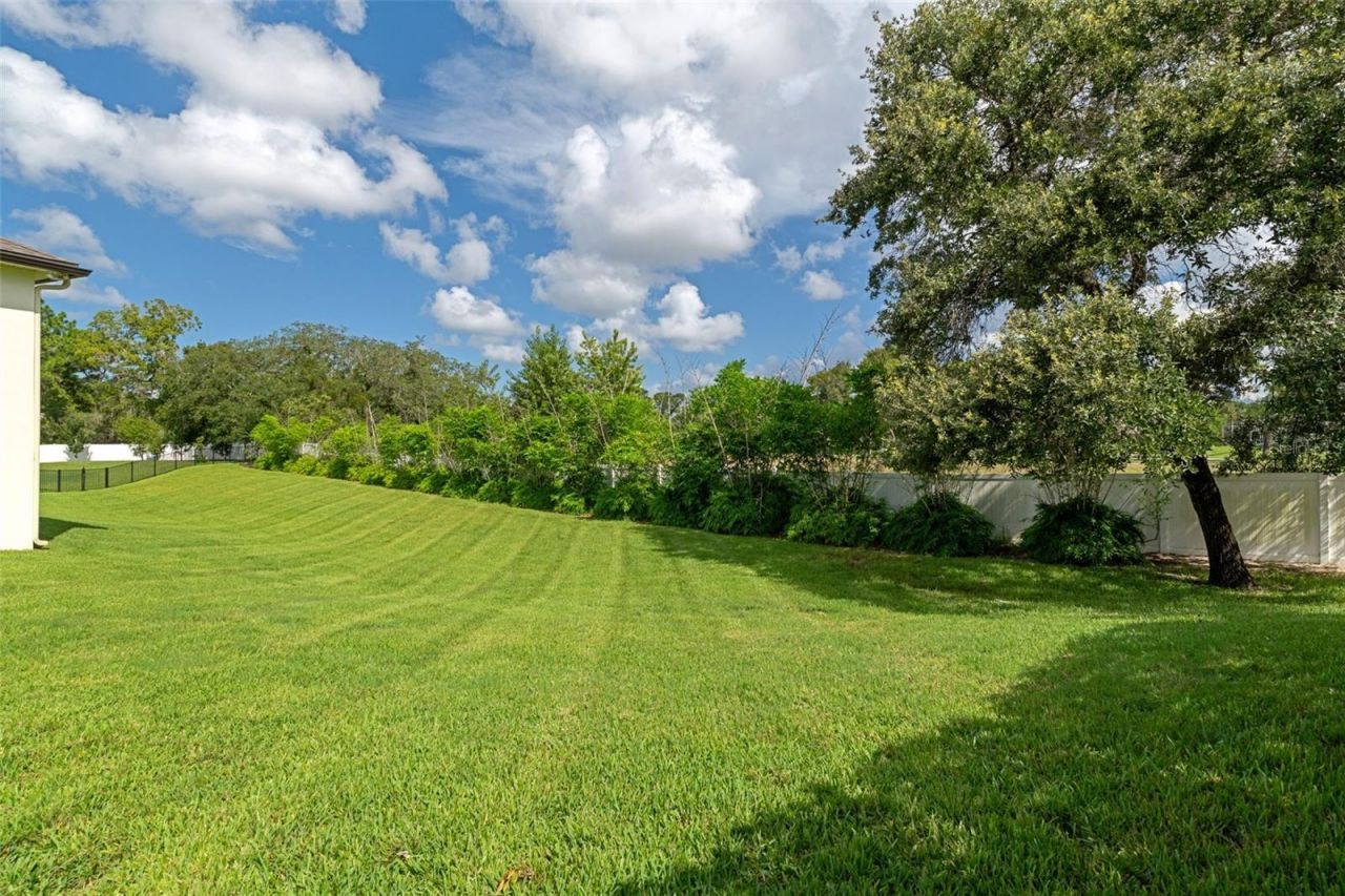 533 Storybook Lane, Spring Hill, FL 34609 Photo