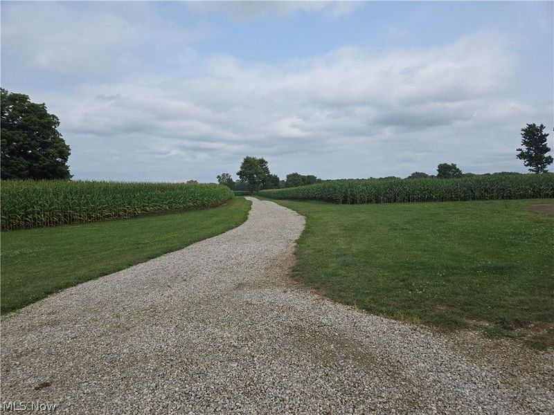 24175 State Route 58, Wellington, OH 44090 Photo 12