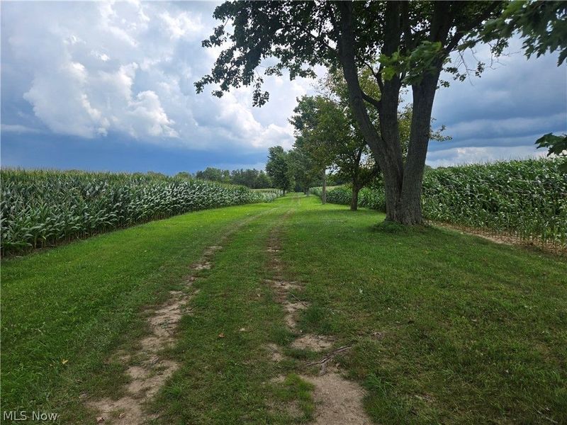 24175 State Route 58, Wellington, OH 44090 Photo 13