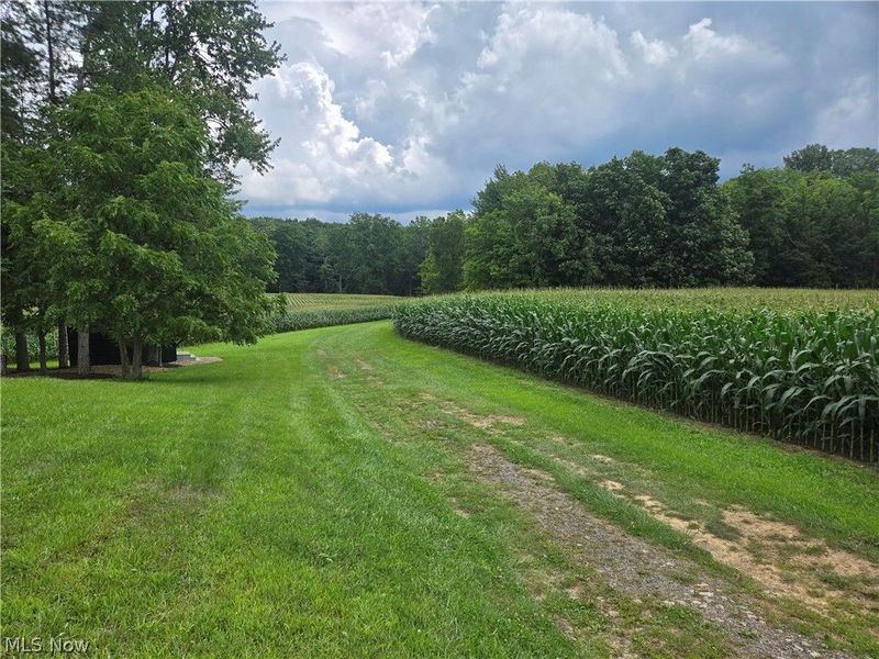 24175 State Route 58, Wellington, OH 44090 Photo 14