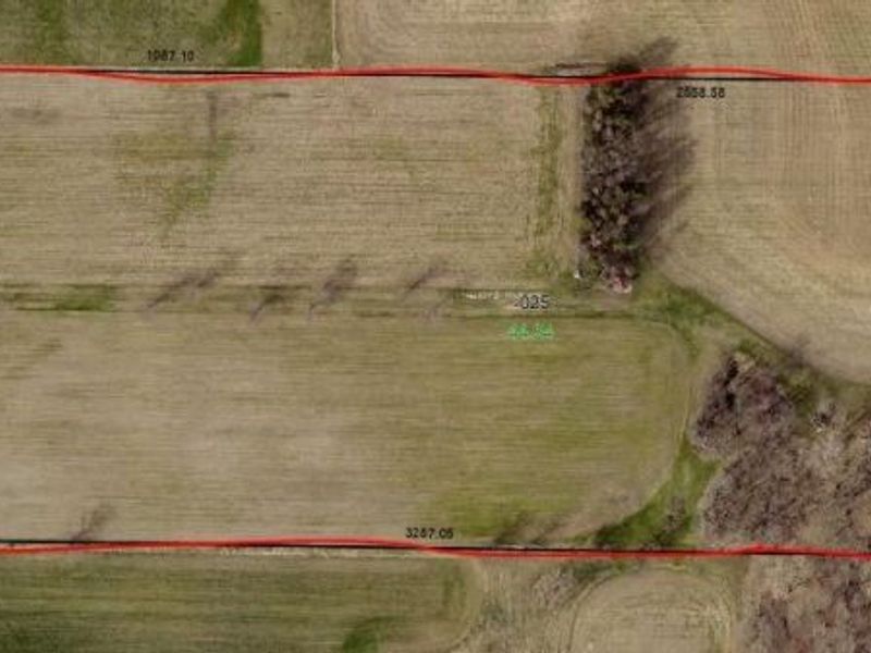 24175 State Route 58, Wellington, OH 44090 Photo 2