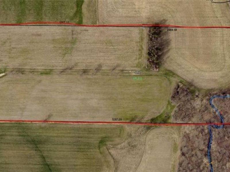 24175 State Route 58, Wellington, OH 44090 Photo 2