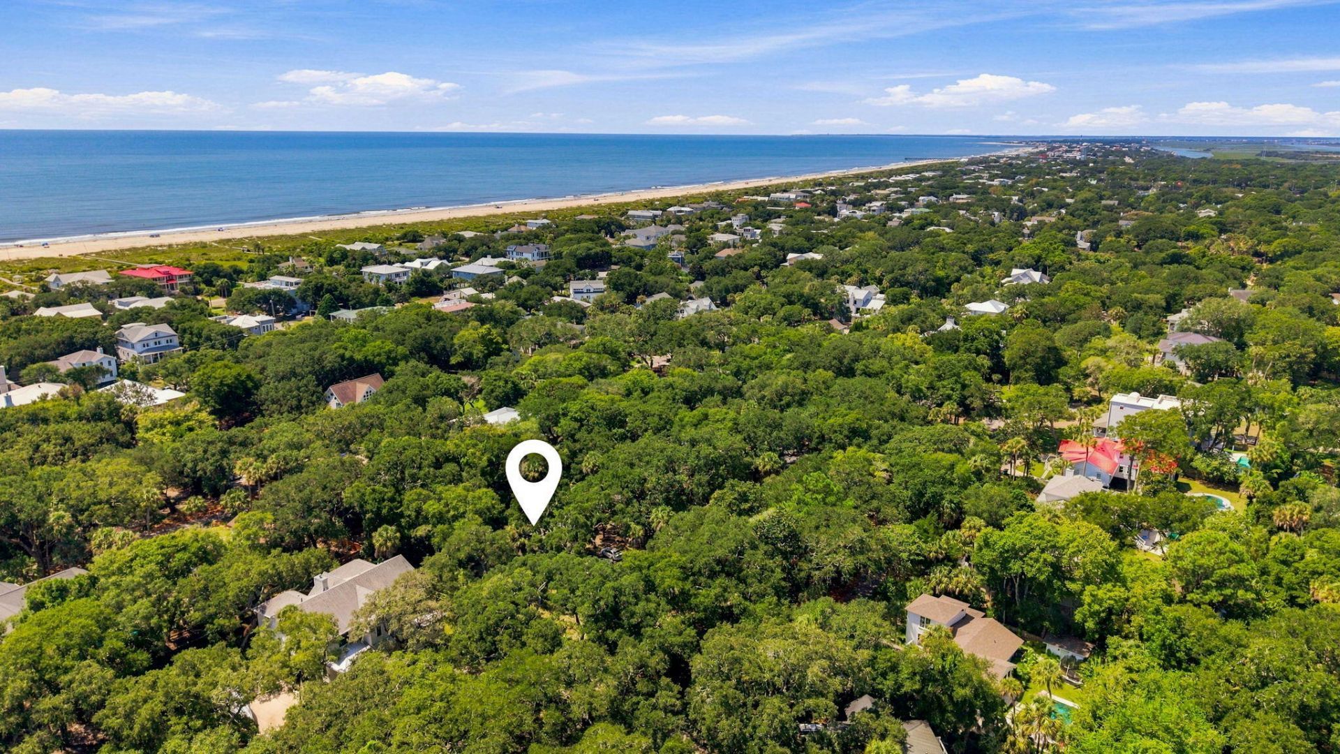 256 Forest Trail Photo 4