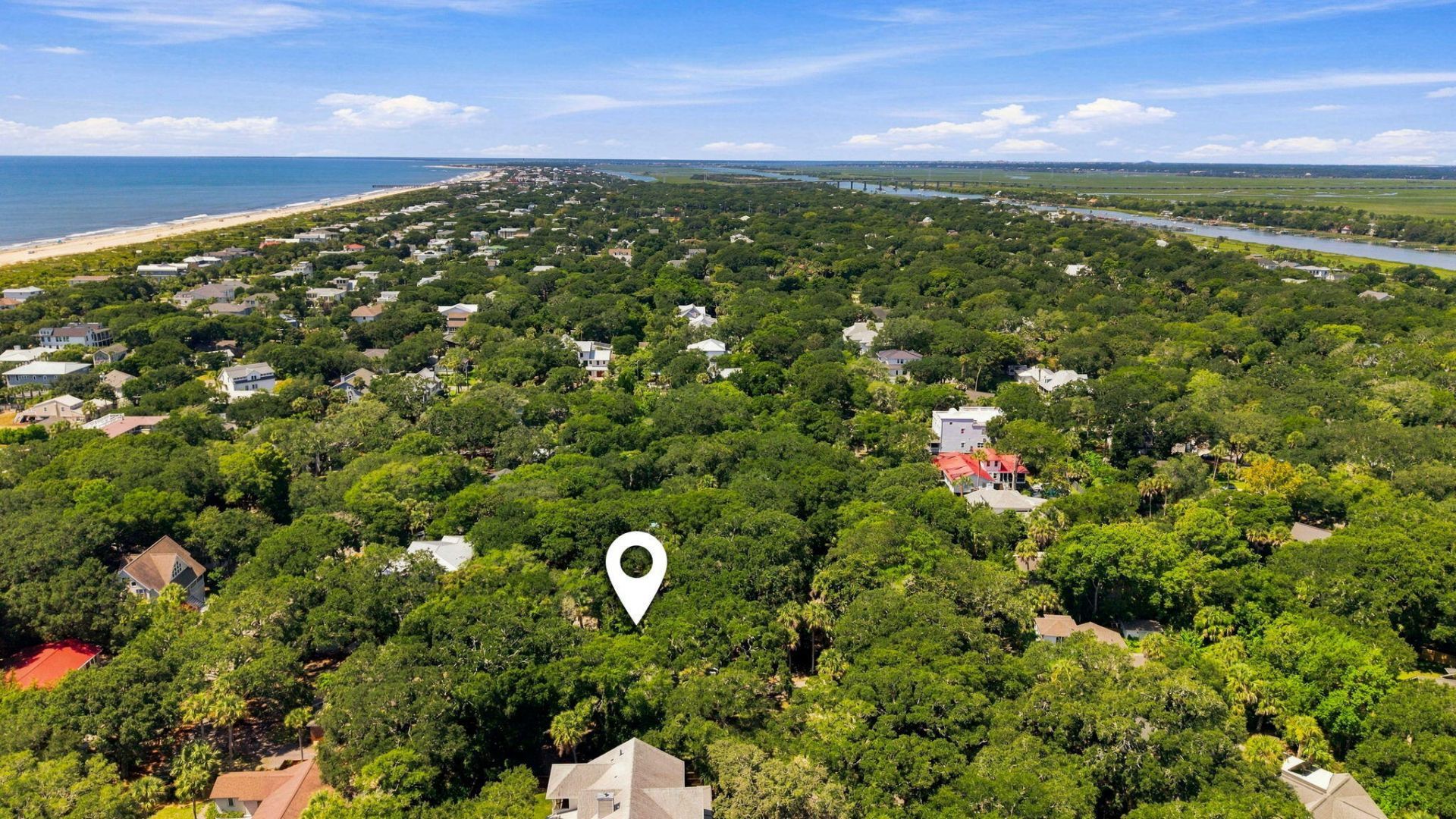 256 Forest Trail Photo 6