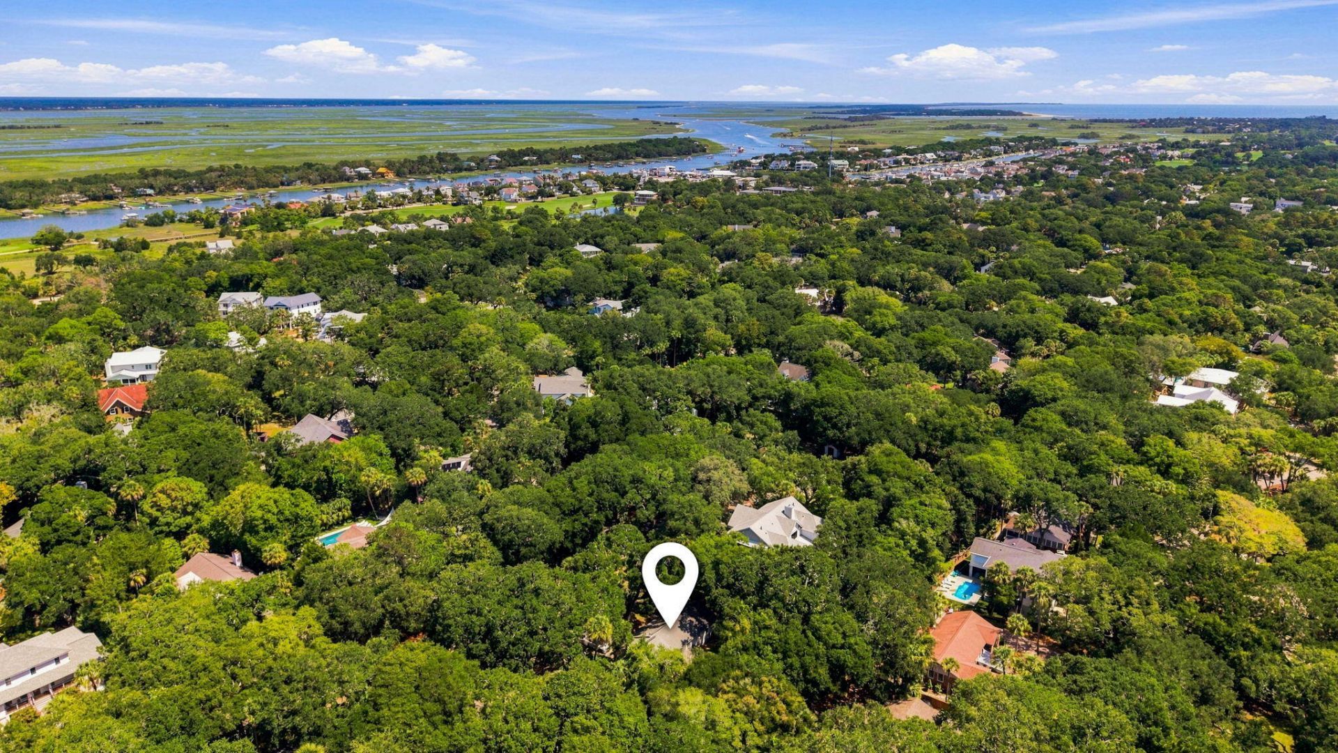 256 Forest Trail Photo 8