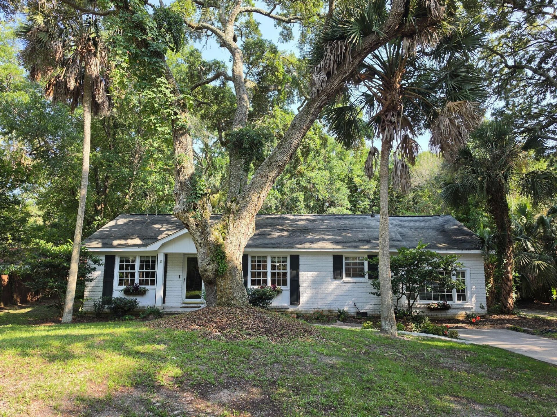 256 Forest Trail Photo 9