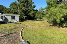 246 Azalea Street  photo 4